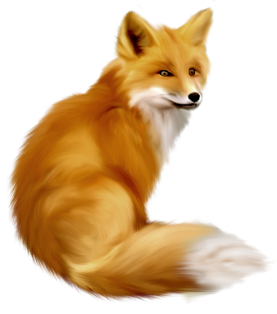 Fox clip art woodland clipart animal clip art digital foxes - Clipartix