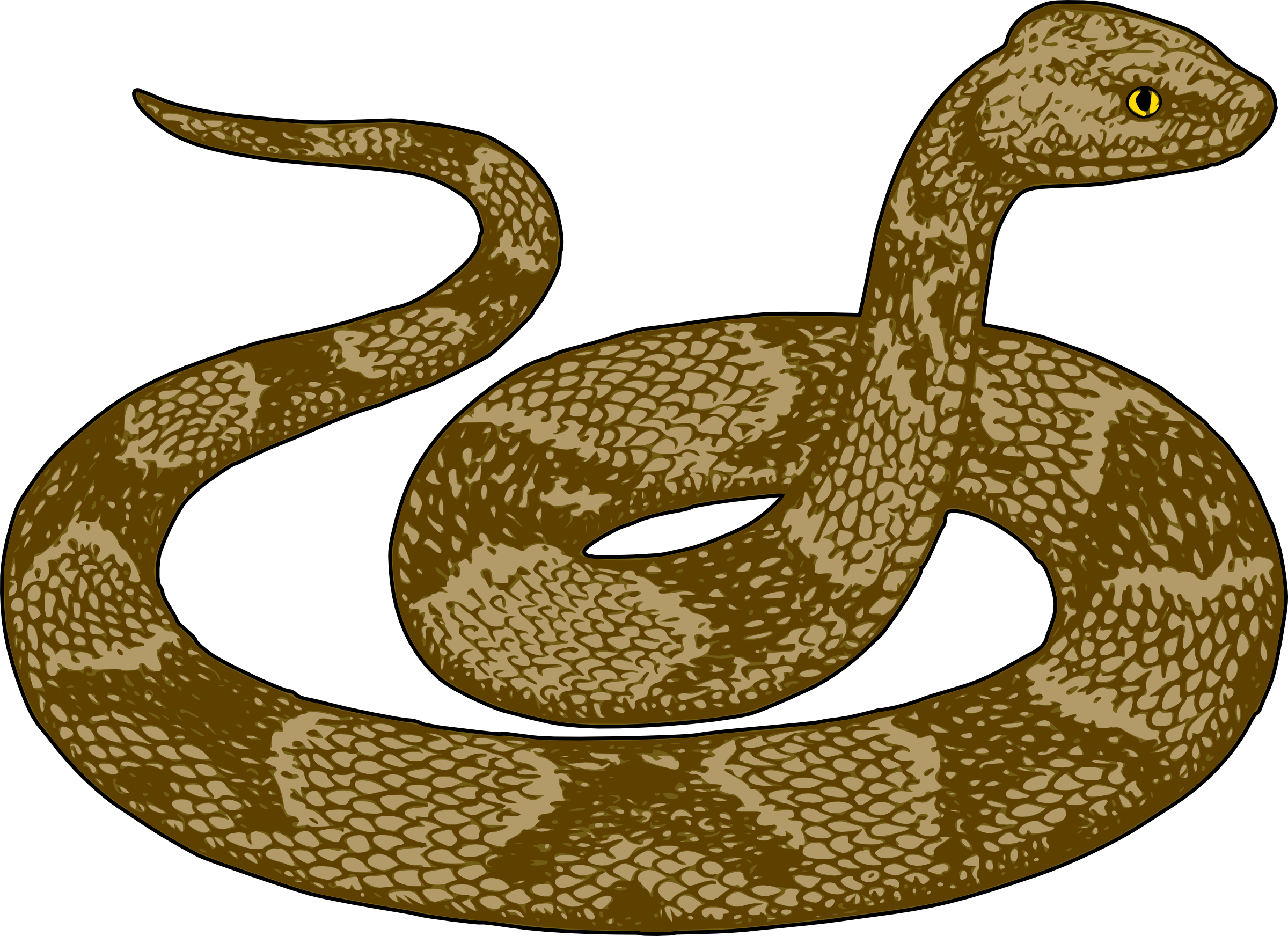 free cartoon snake clipart - photo #37