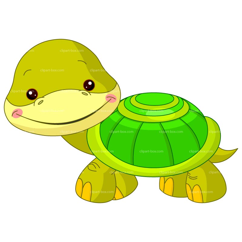 free clip art cartoon turtle - photo #40