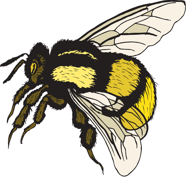 free clip art bee images - photo #48