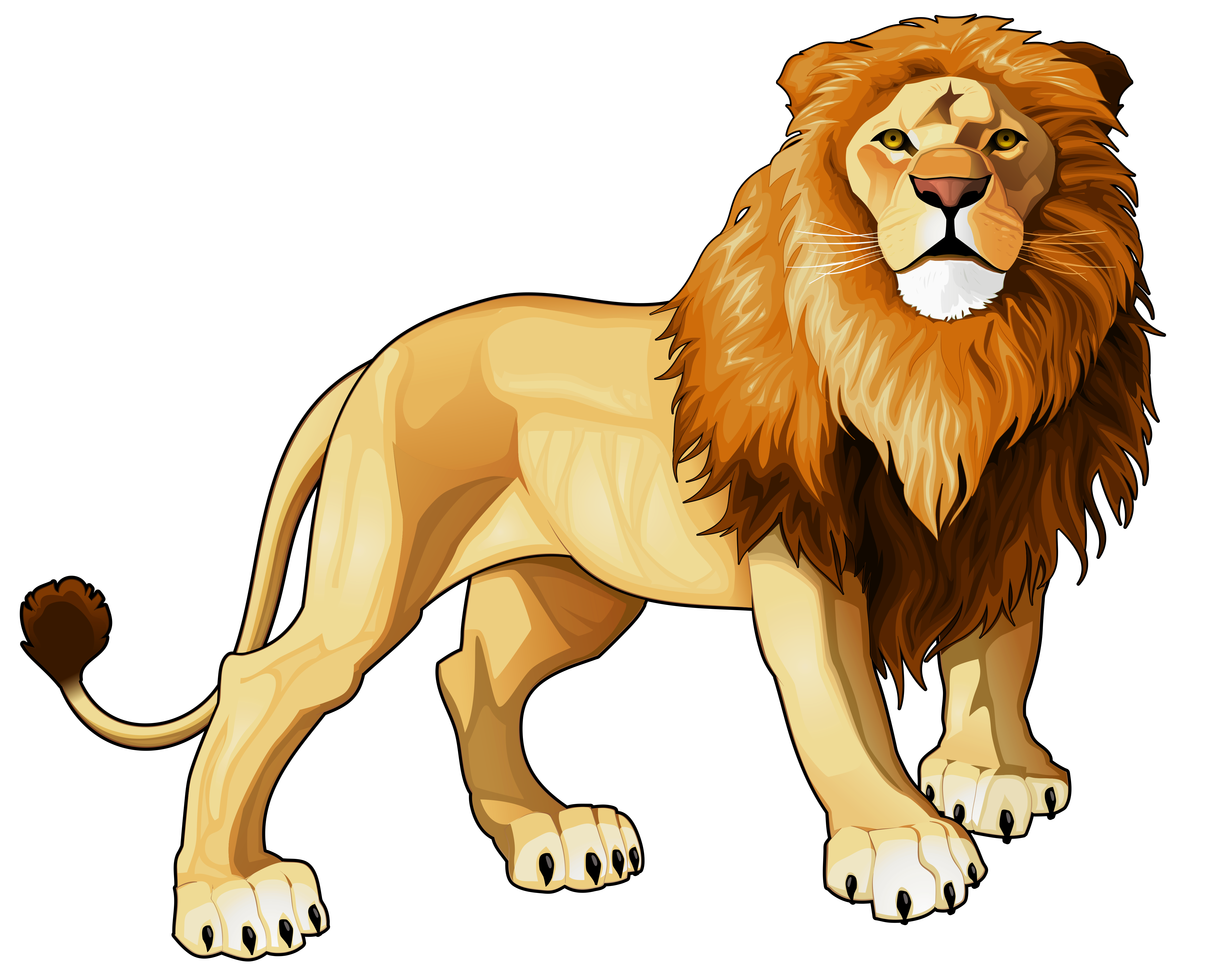 clipart of lion - photo #22
