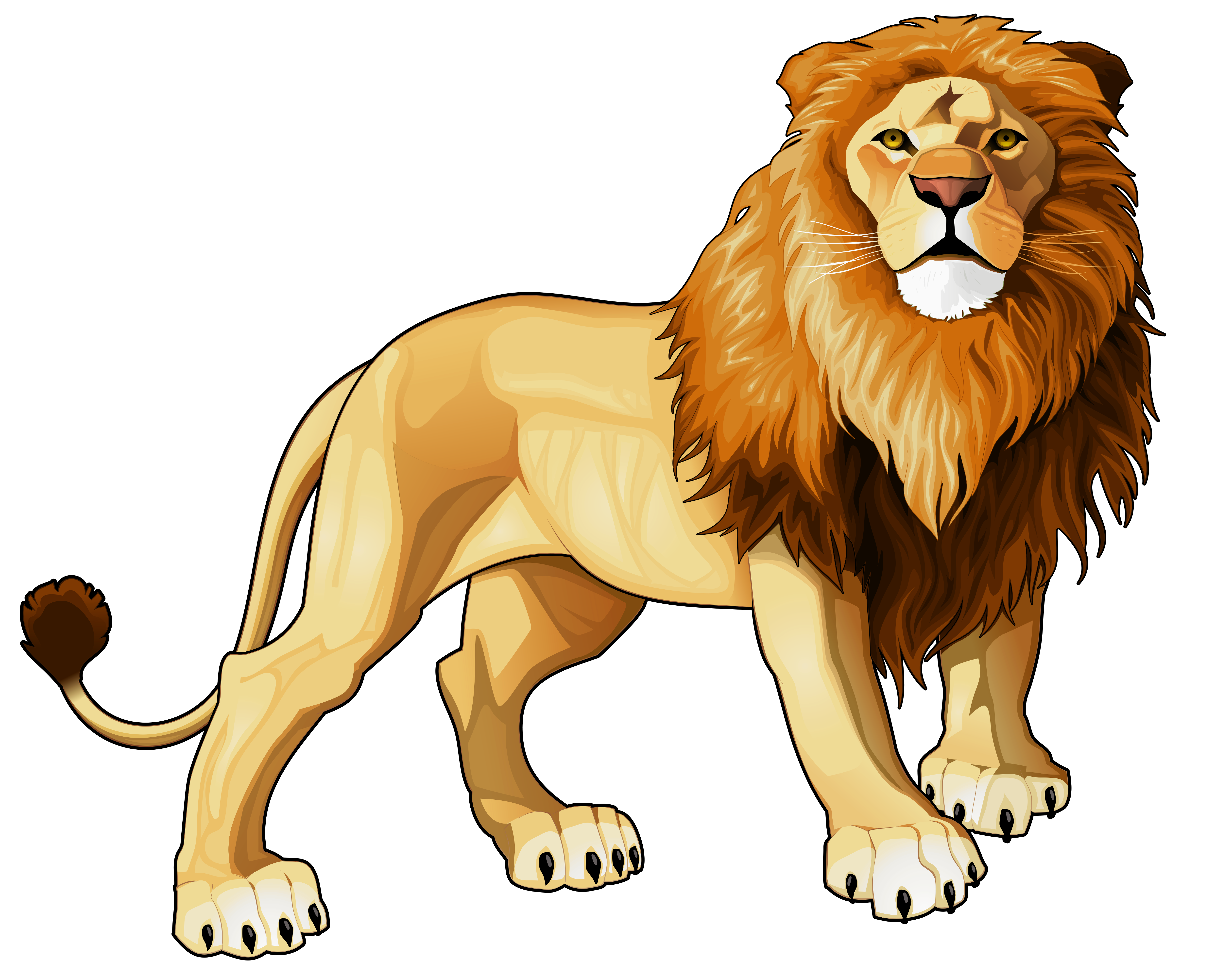 Cartoon Lion Clip Art Clipartbold Clipartix