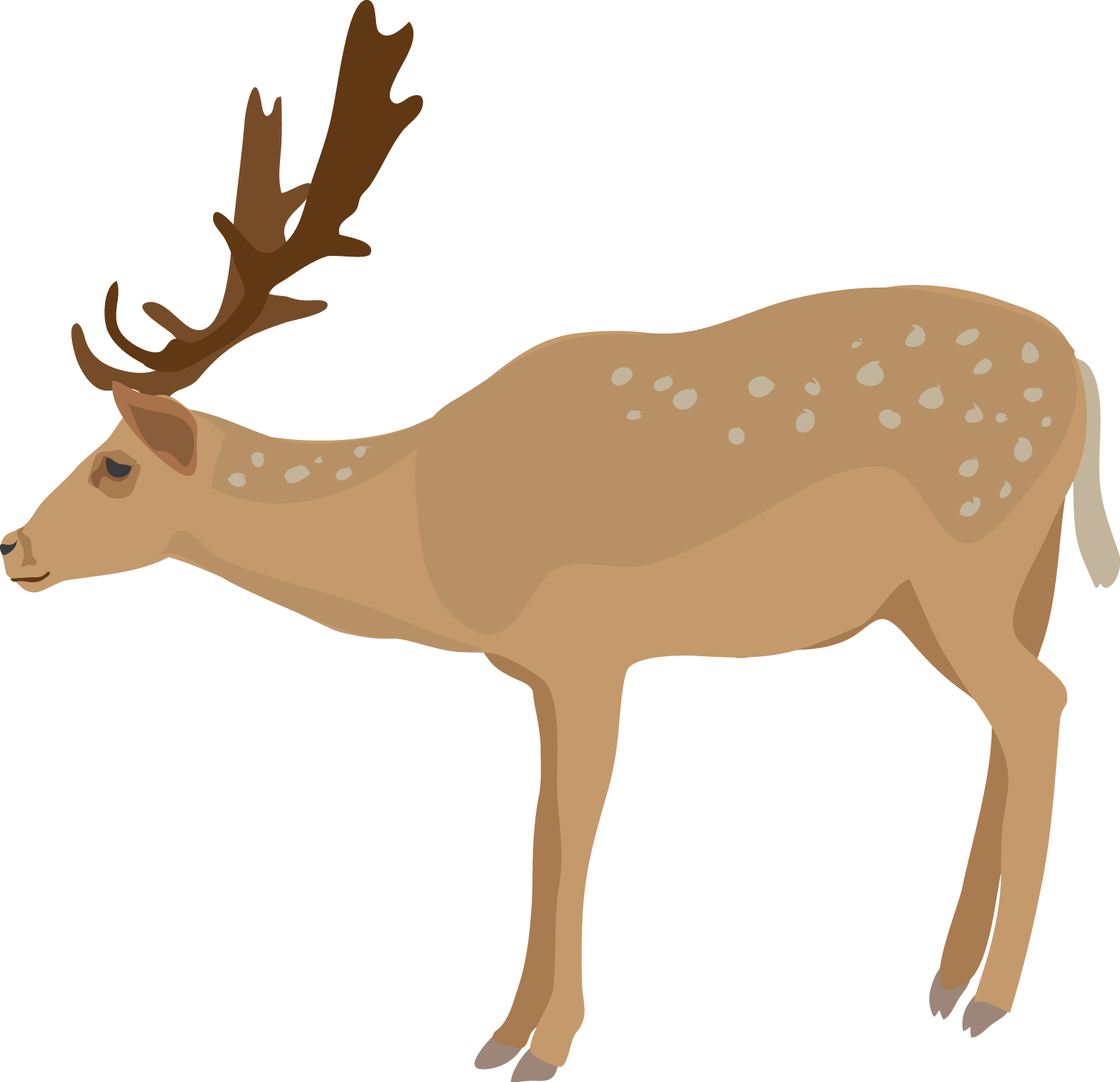 free clip art of whitetail deer - photo #7
