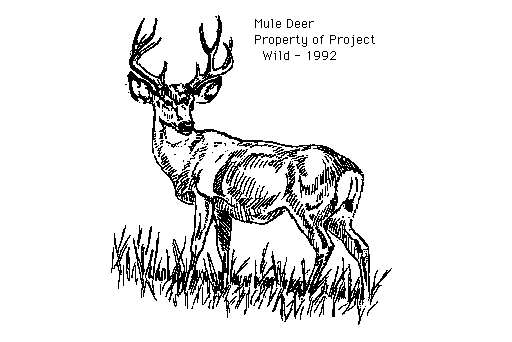 free clip art black and white deer - photo #37