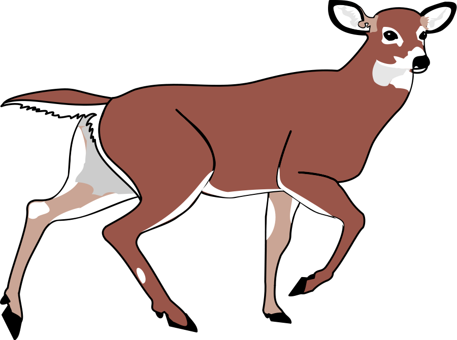free black and white deer clipart - photo #30