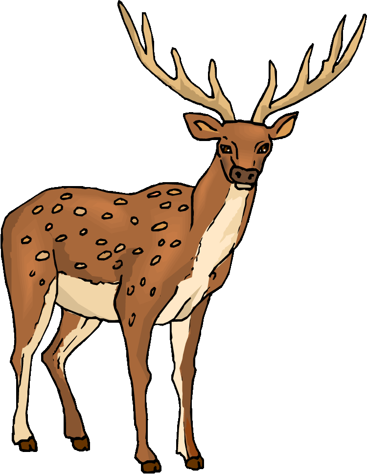 free deer hunting clipart images - photo #34