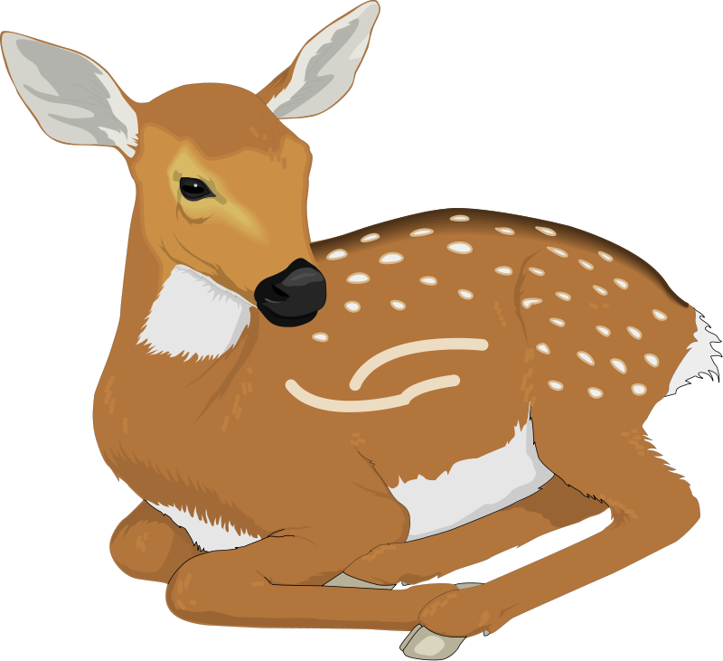 Deer clipart free hunting free clipart images - Clipartix