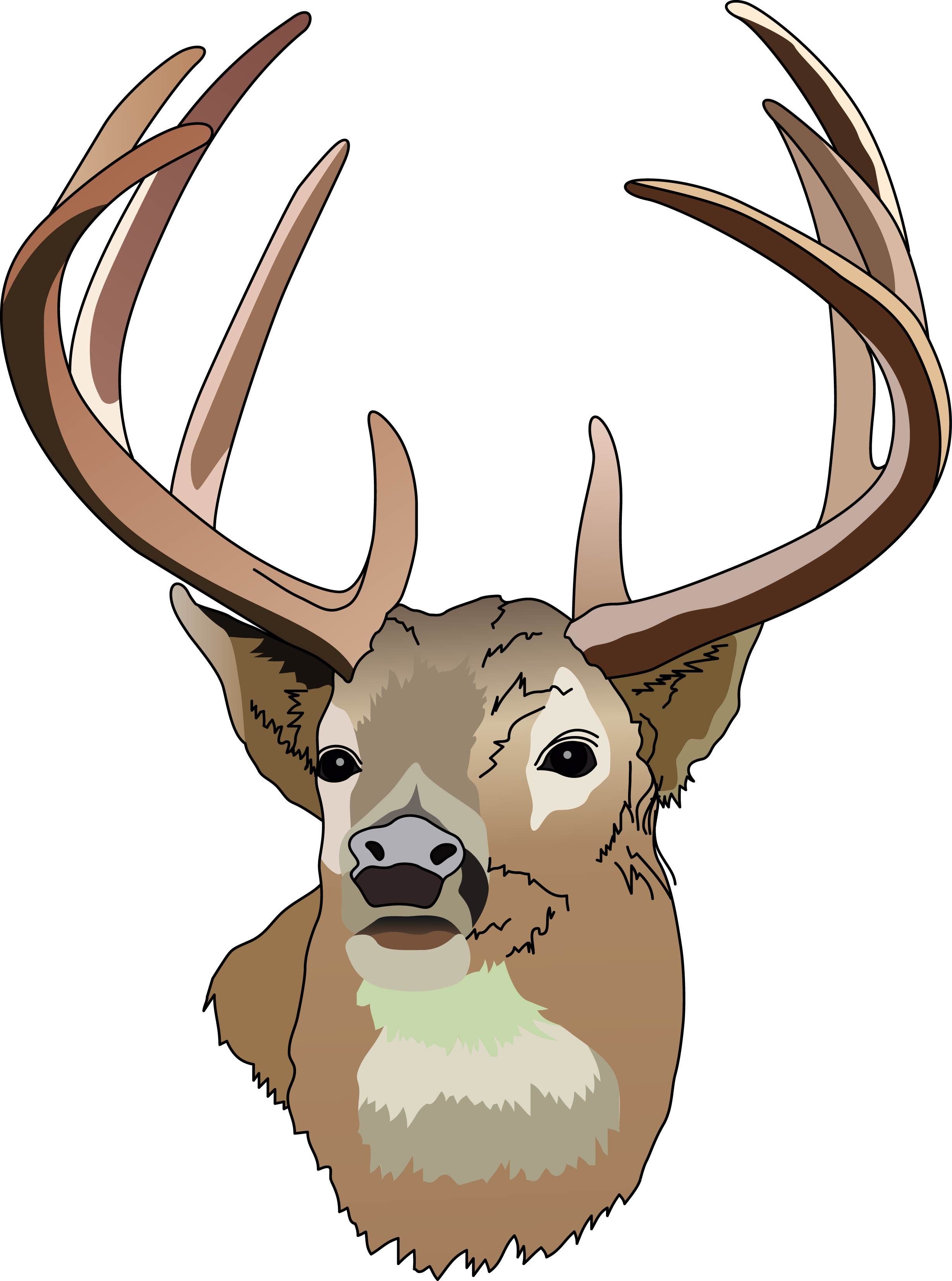 Deer hunting clipart free clipart images - Clipartix