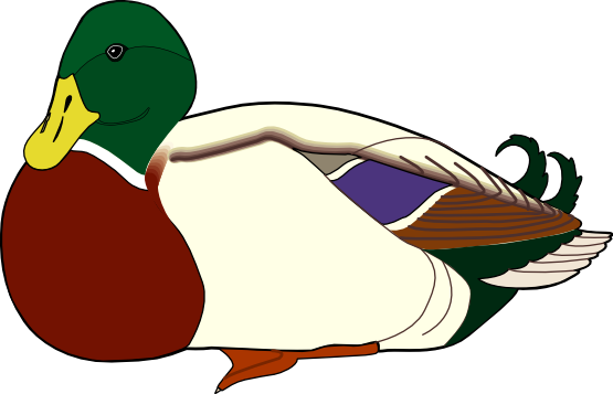 clipart cartoon ducks - photo #32
