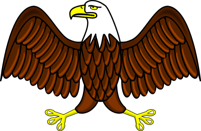 free cartoon eagle clipart - photo #19