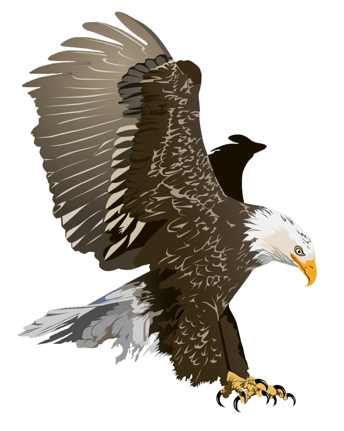 fish eagle clipart - photo #16