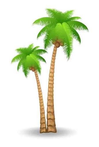 Palm tree art tropical palm trees clip art clip art palm tree 