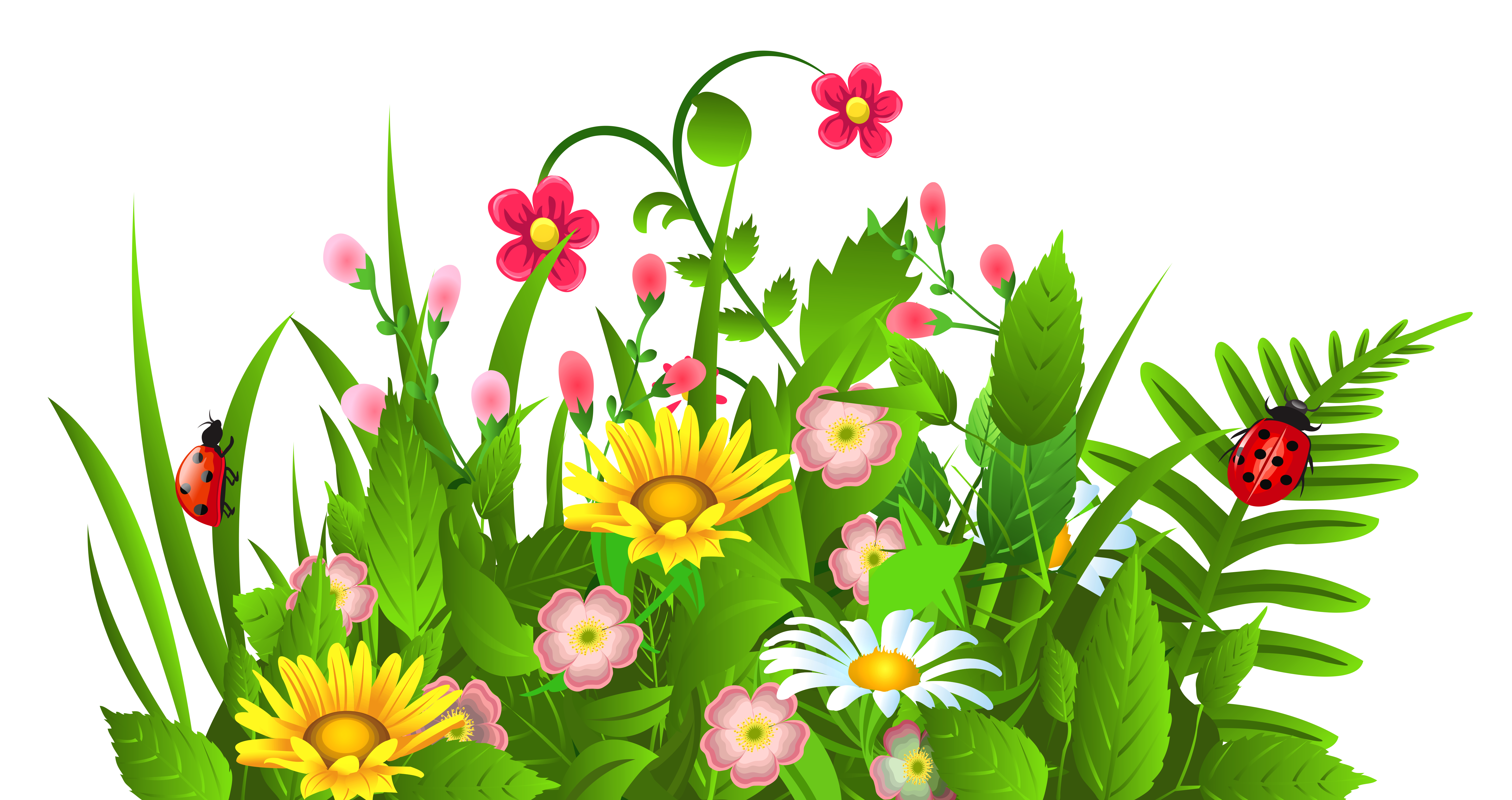 clip art flowers pinterest - photo #45