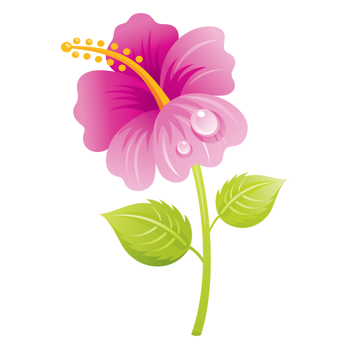 Flowers flower clip art with transparent background free