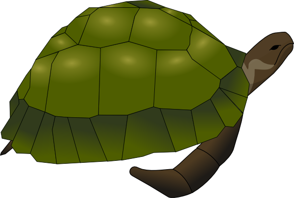turtle clip art free download - photo #10