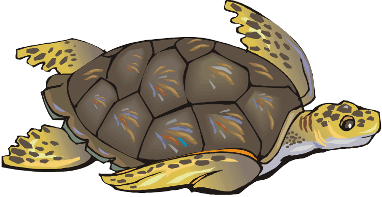 Sea turtle clipart - Clipartix