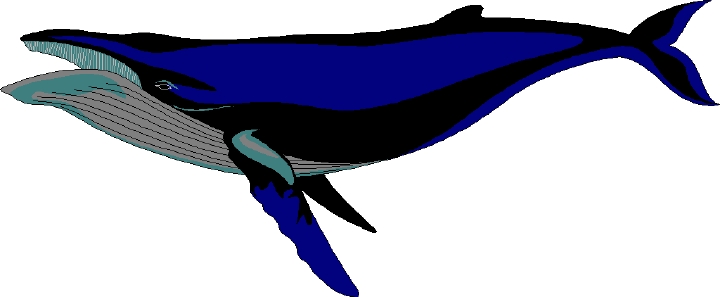 free animated whale clipart - photo #38