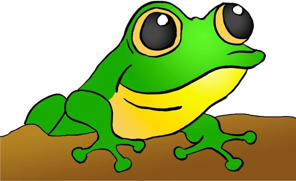 clipart tree frog - photo #25