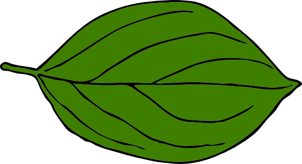 free clipart green leaf - photo #49