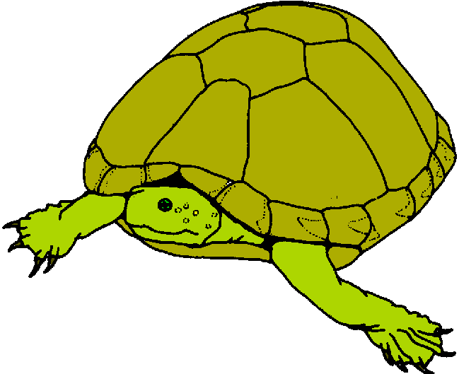 free clip art cartoon turtle - photo #39