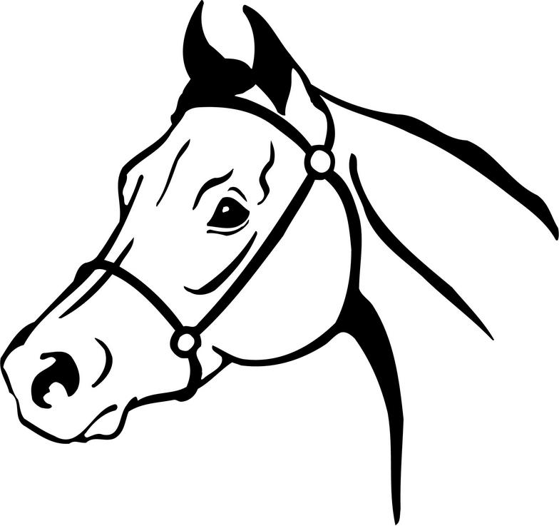 horse clip art black and white - photo #26