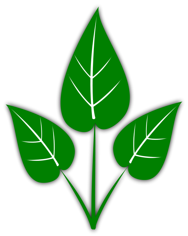 free clipart green leaves - photo #30