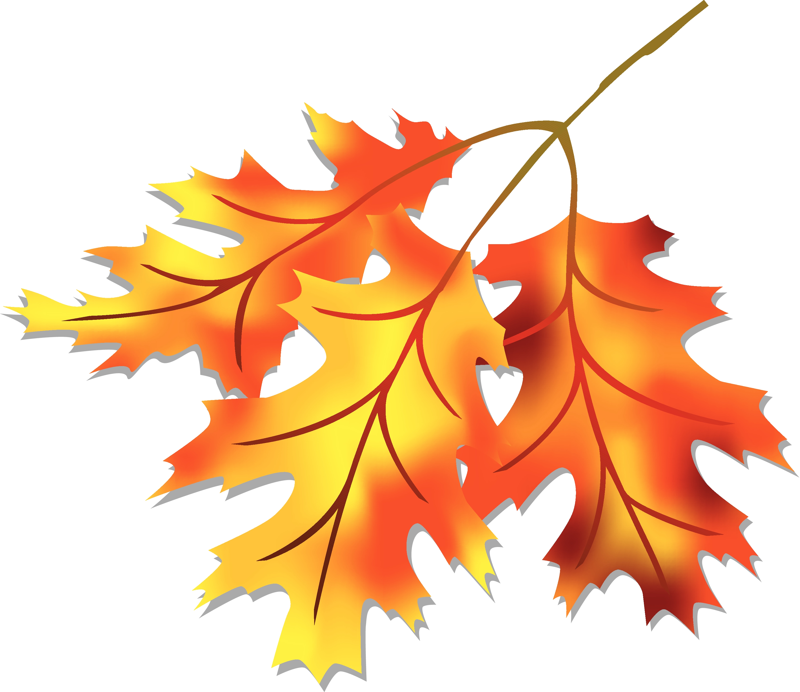 clipart for leaves - photo #15