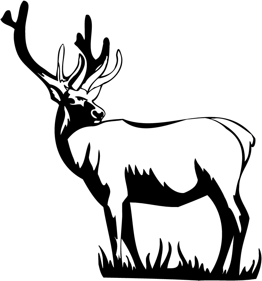 free whitetail deer clipart - photo #10
