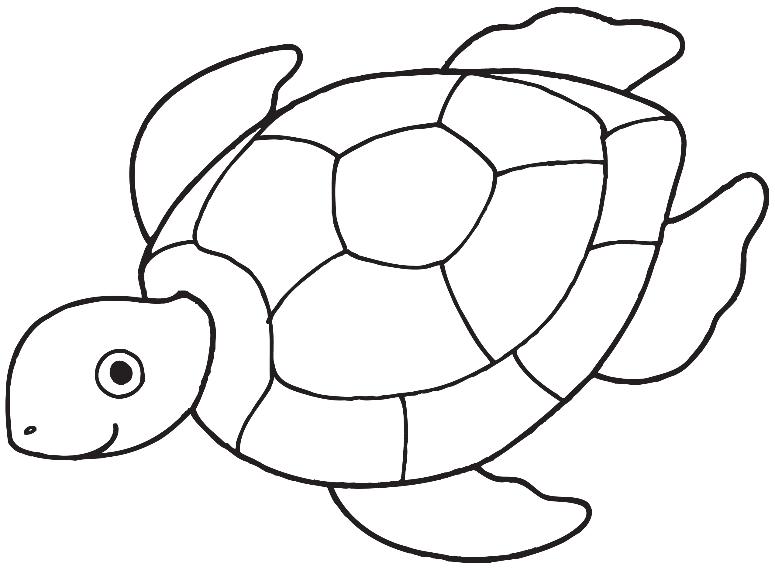 clipart turtle black and white - photo #27