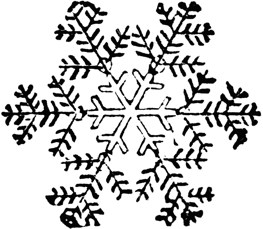 free black and white snowflake clipart - photo #33