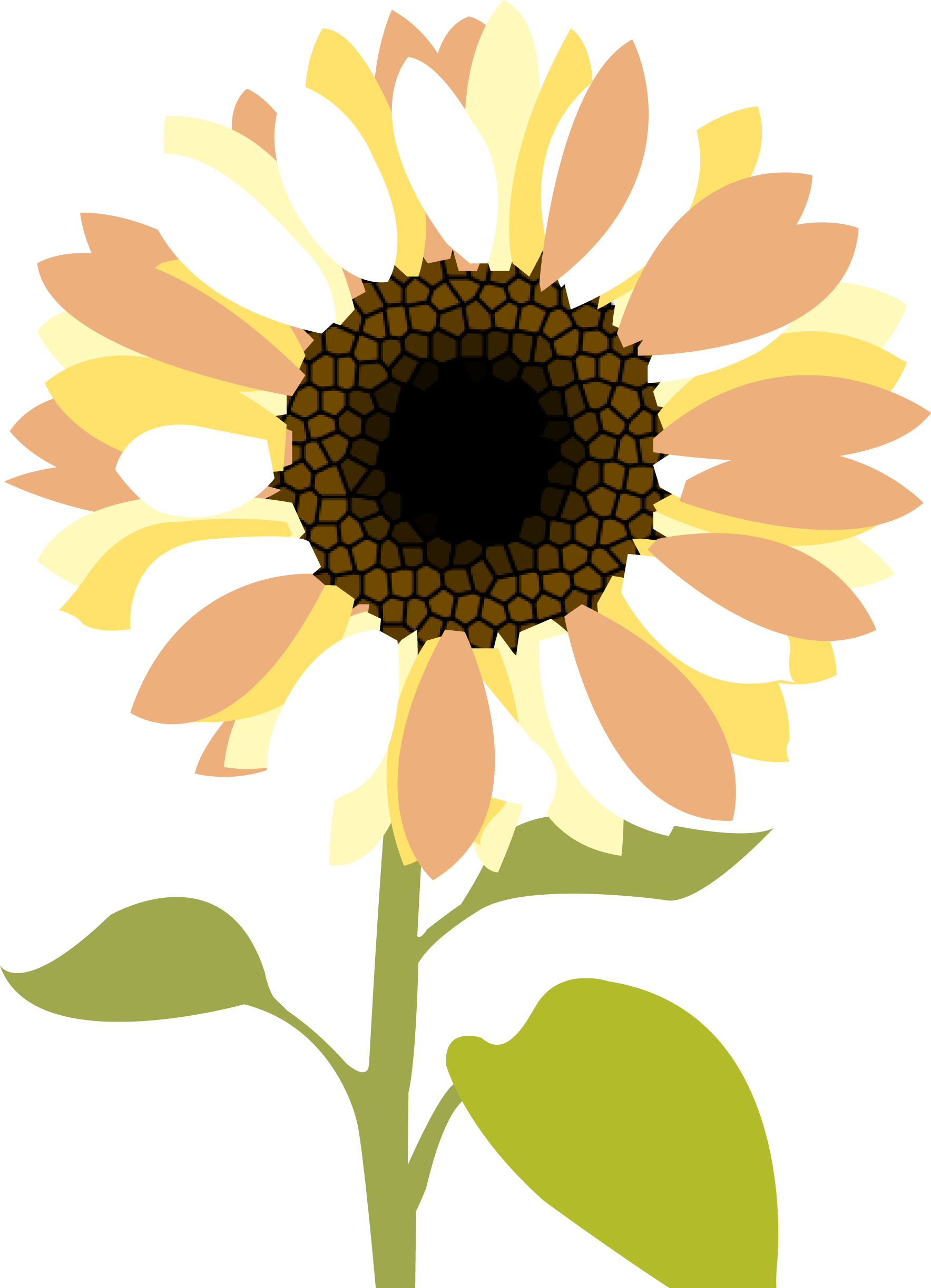 Sunflower Clip Art Free Printable Free Clipart Clipartix Kulturaupice