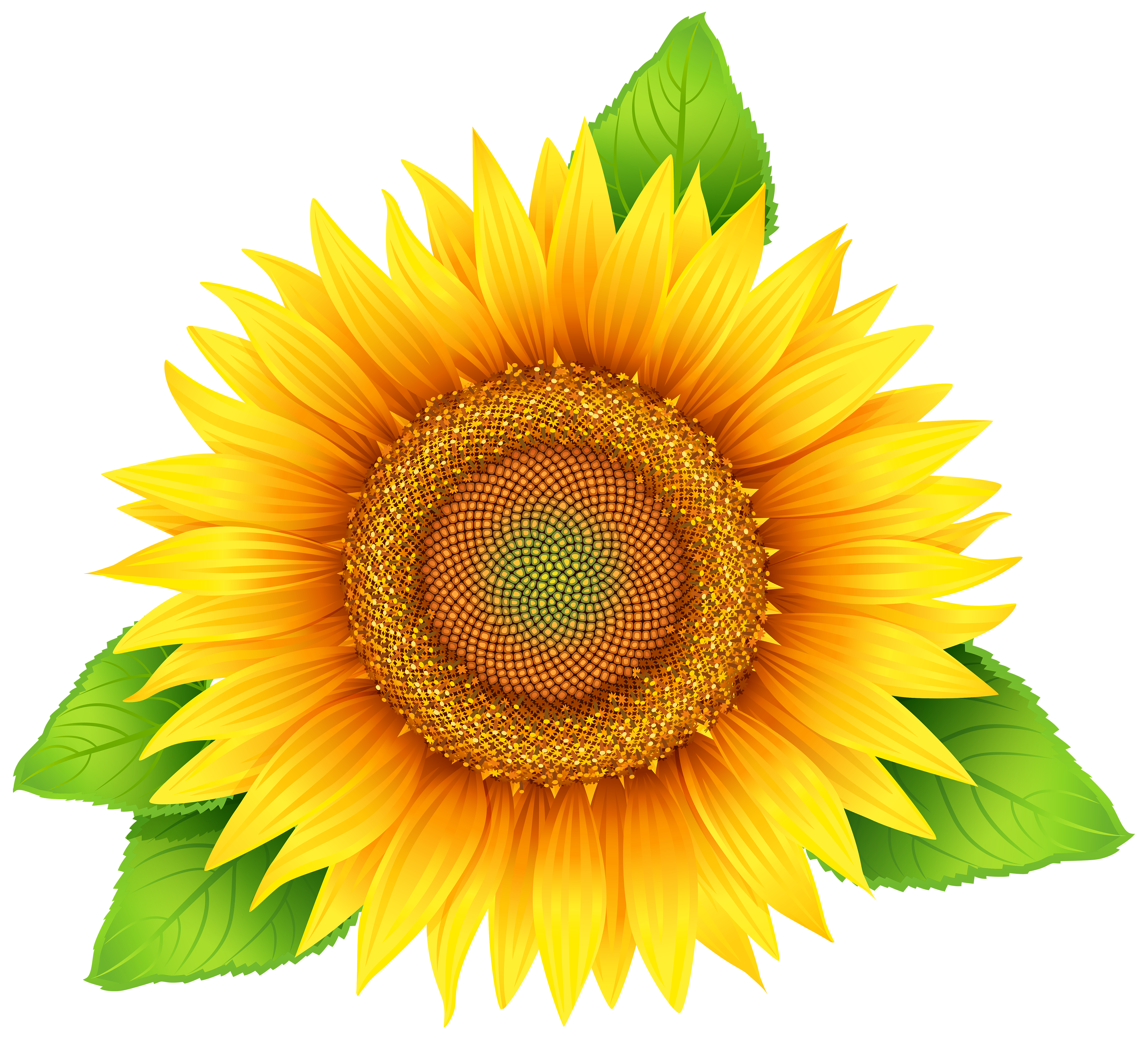 Free Printable Sunflower Images