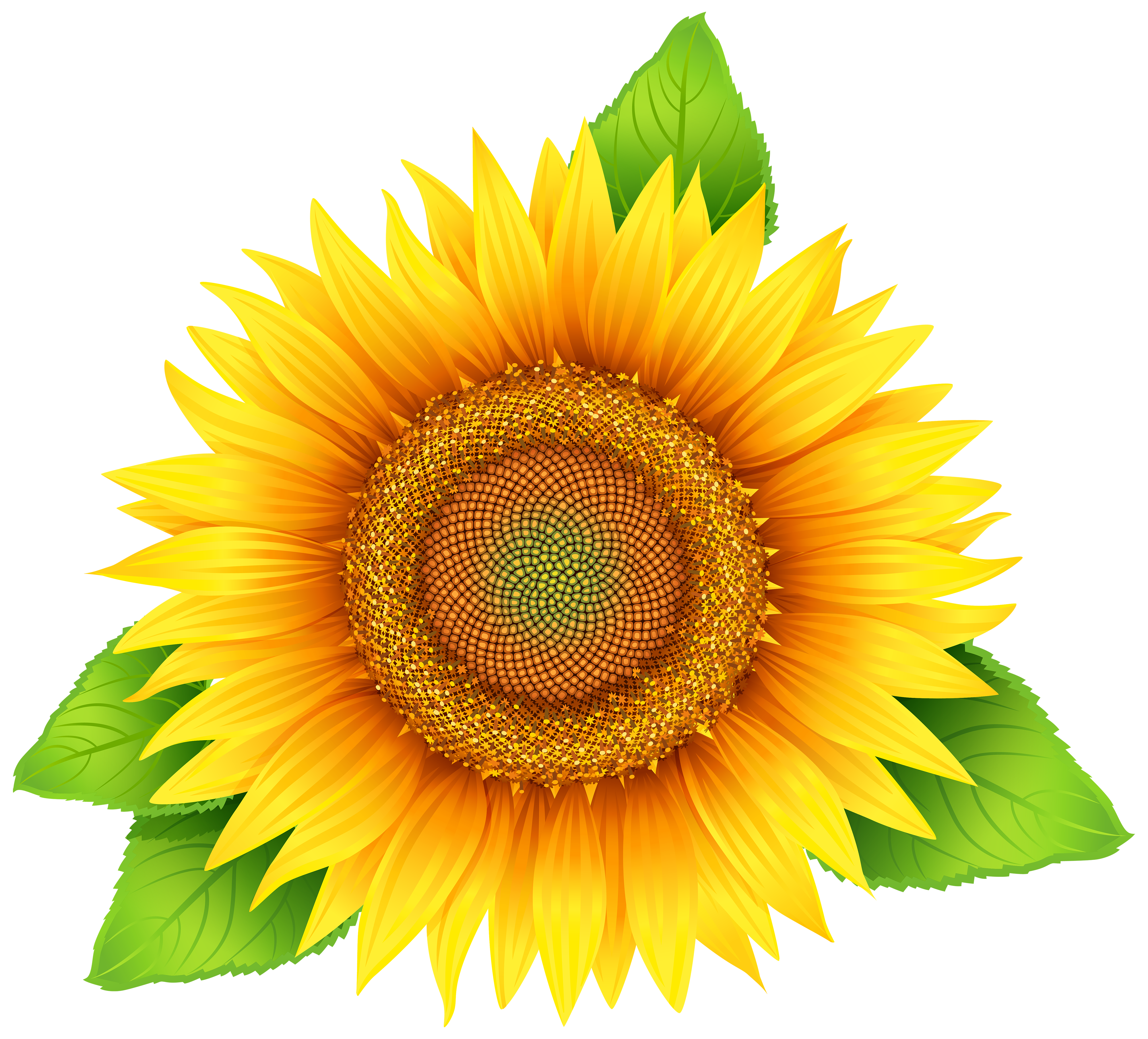 Printable Sunflower Clipart
