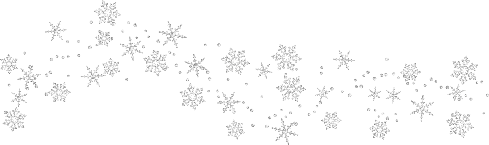 Image result for snowflakes