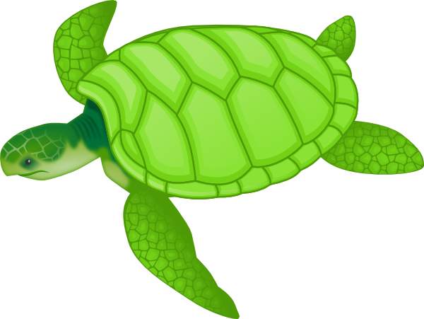 girl turtle clipart - photo #42