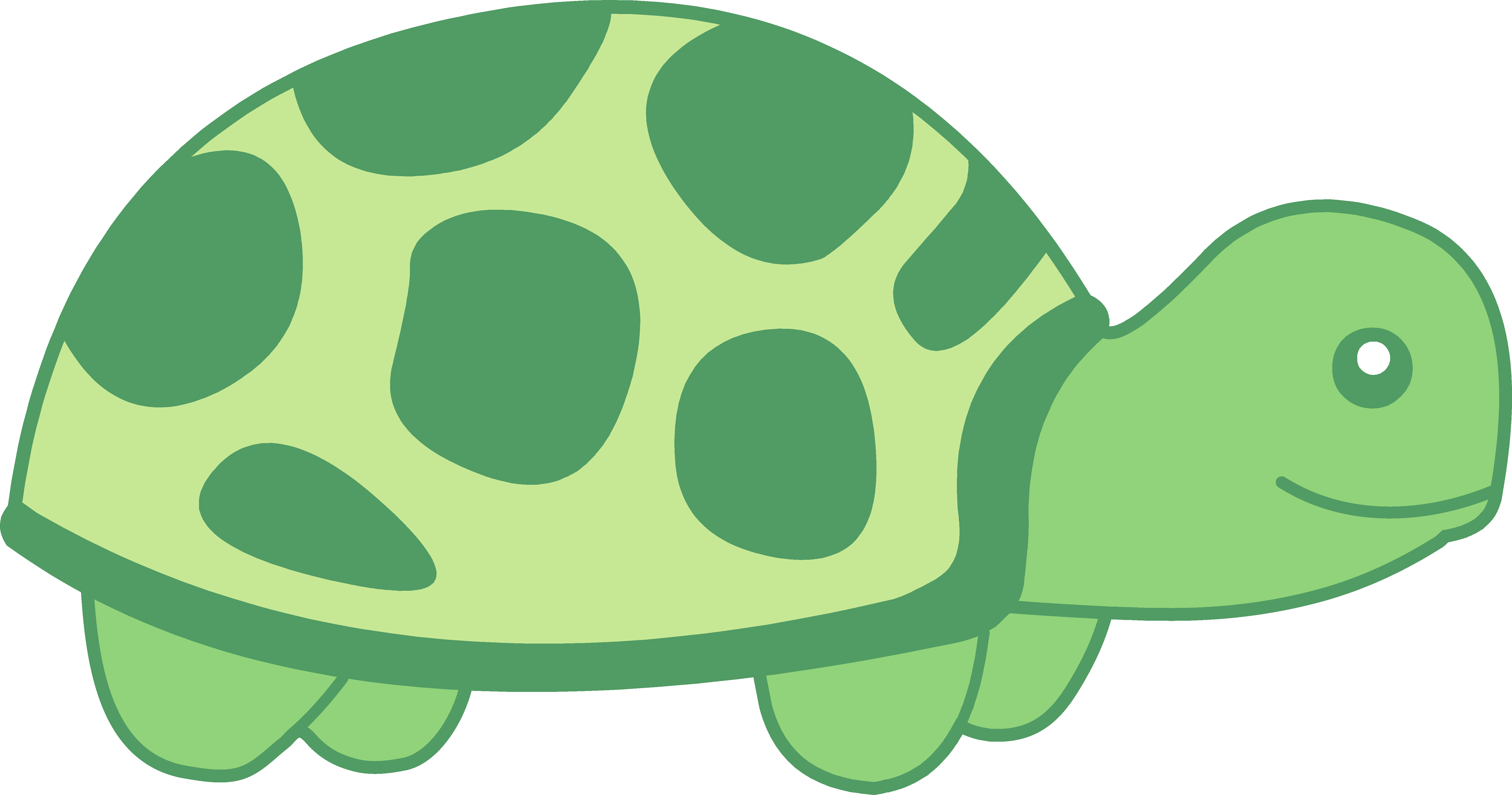 turtle clip art free download - photo #45