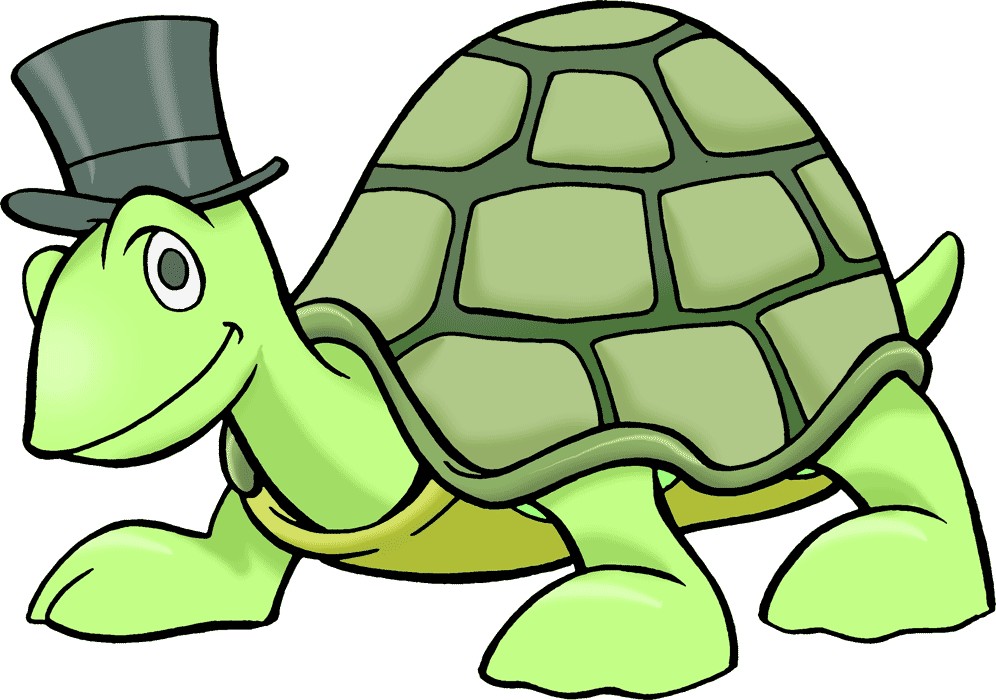 animated clip art turtle - photo #27