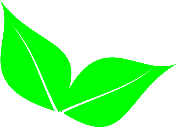 leaf clipart transparent - photo #39