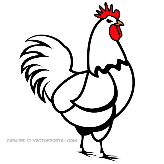 free clipart of a chicken - photo #29