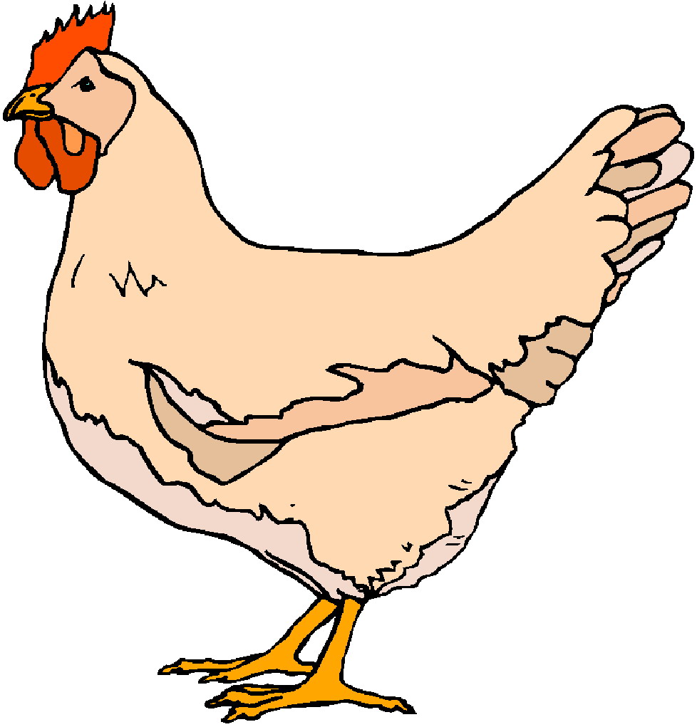 clip art chicken and egg - photo #9
