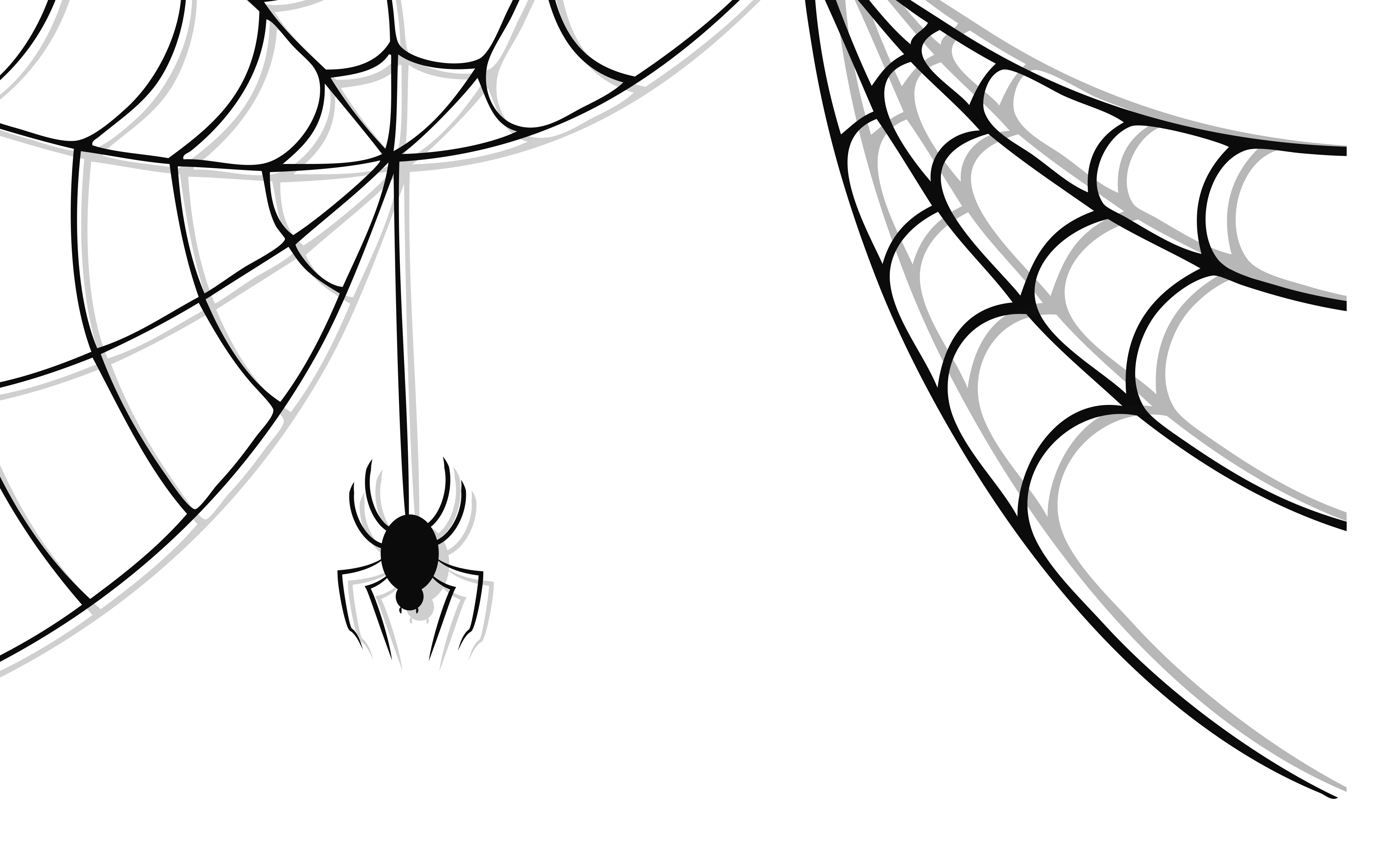 spider clip art free black and white - photo #32