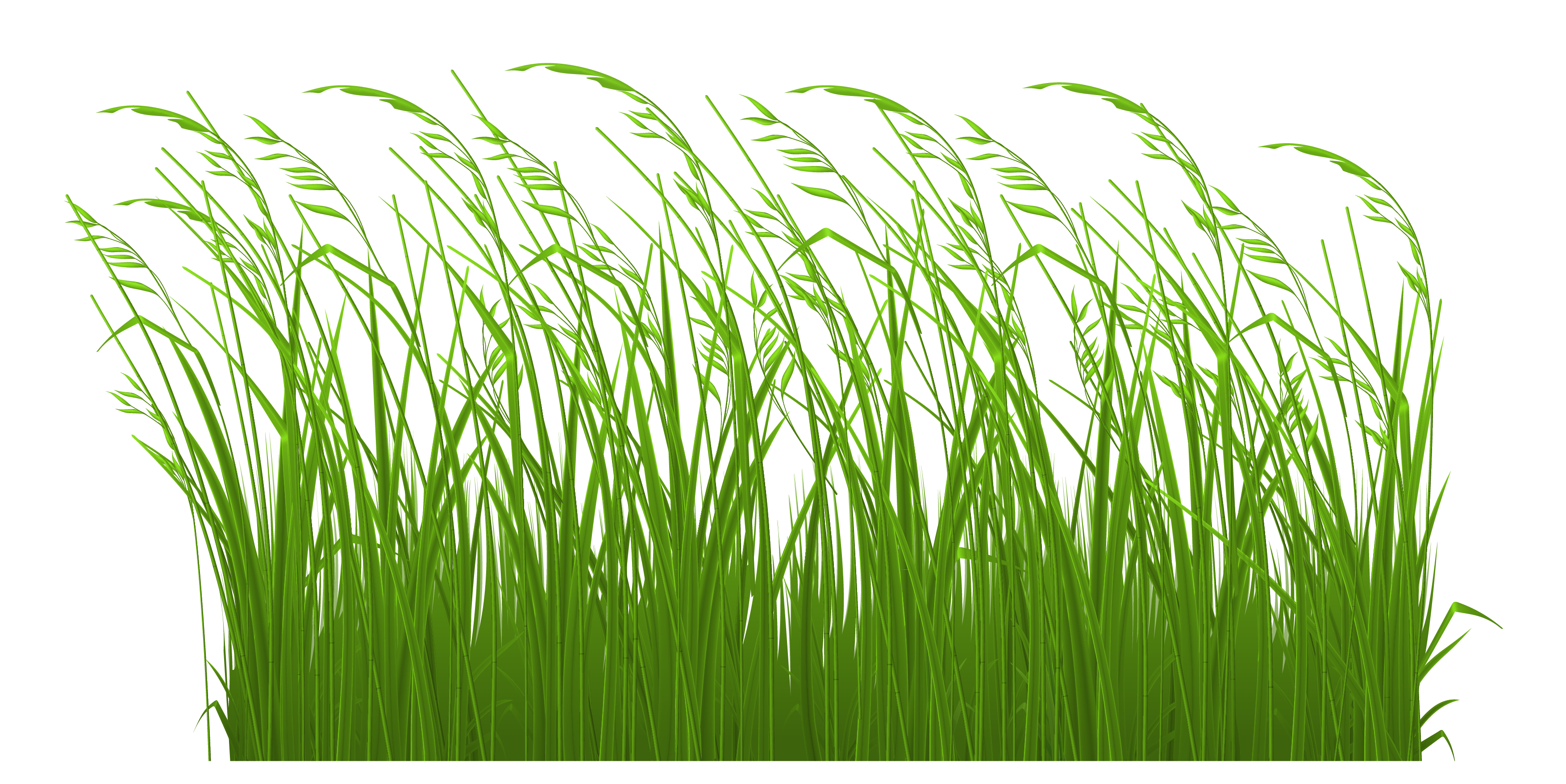 Grass clip art vector clip - Clipartix