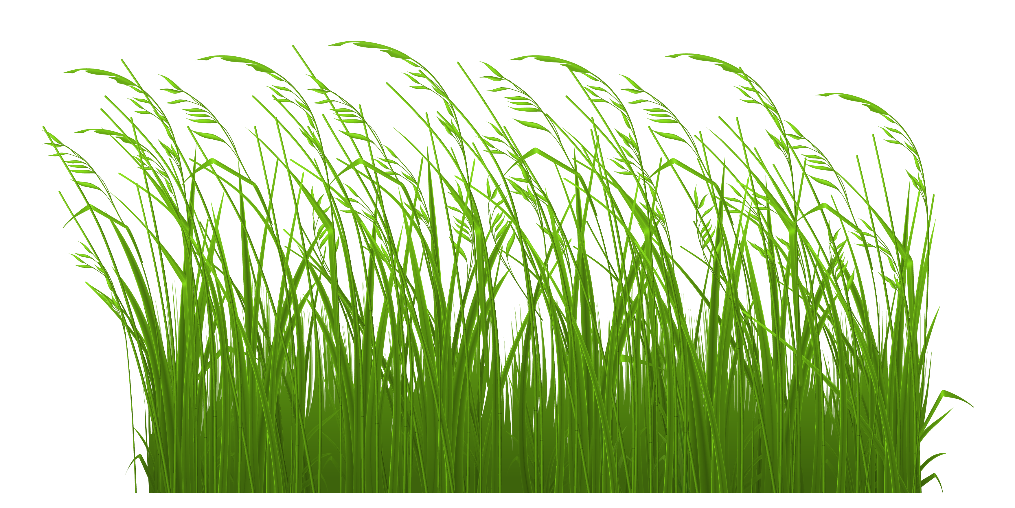 free clip art of grass - photo #26