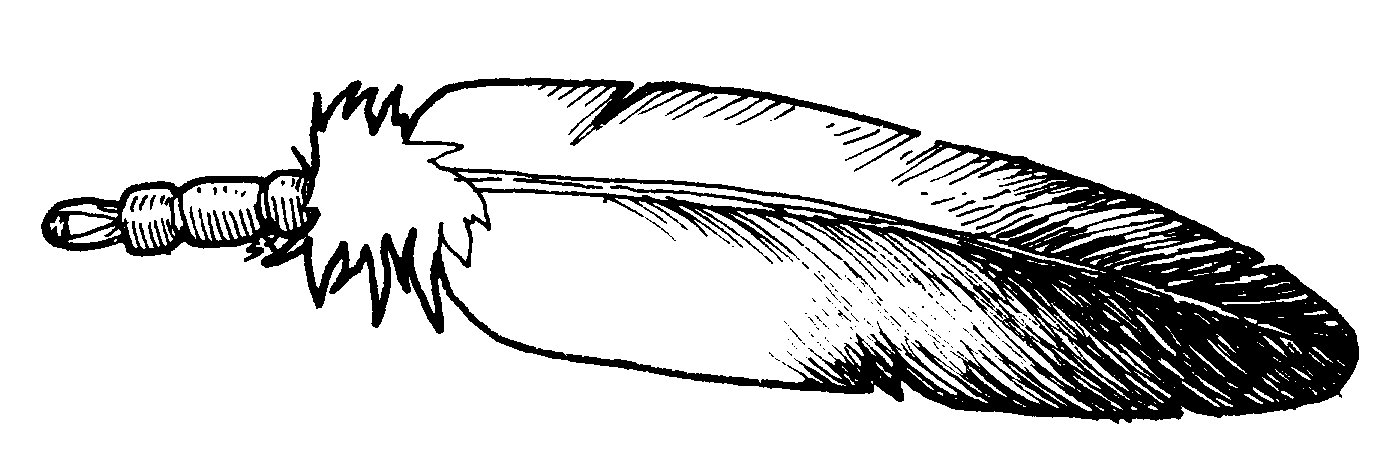 Eagle feather clipart - Clipartix