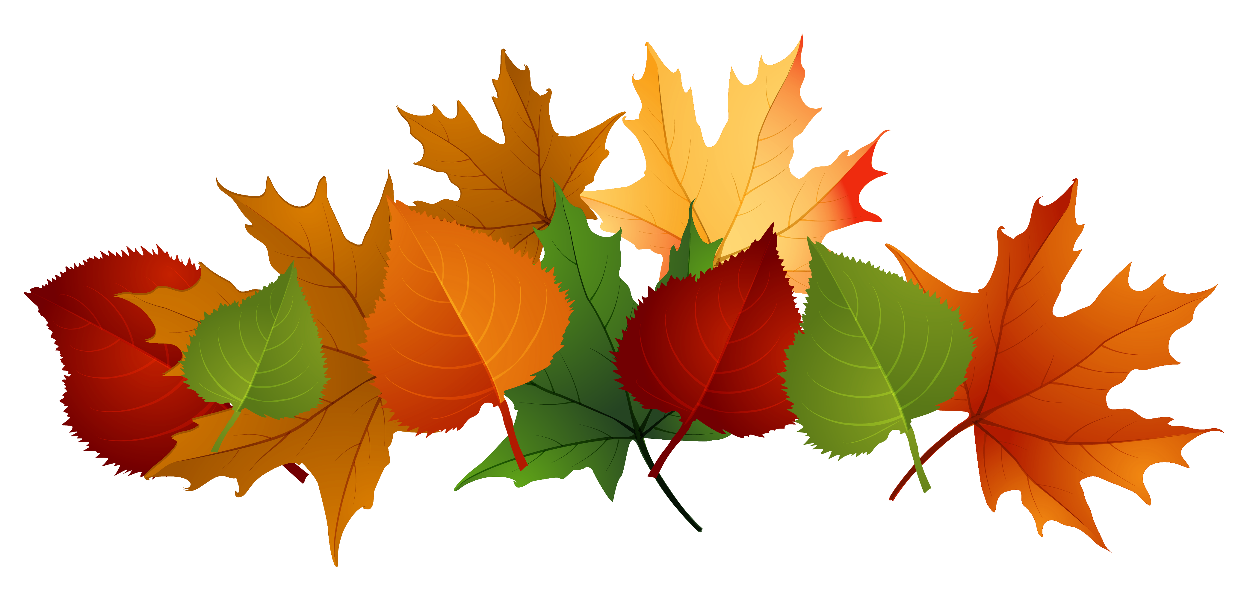 Image result for leaves clip art