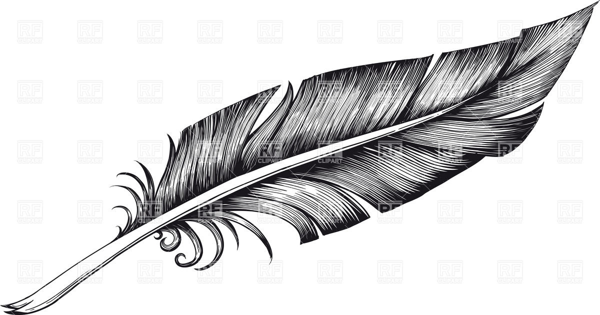 clip art eagle feather - photo #6