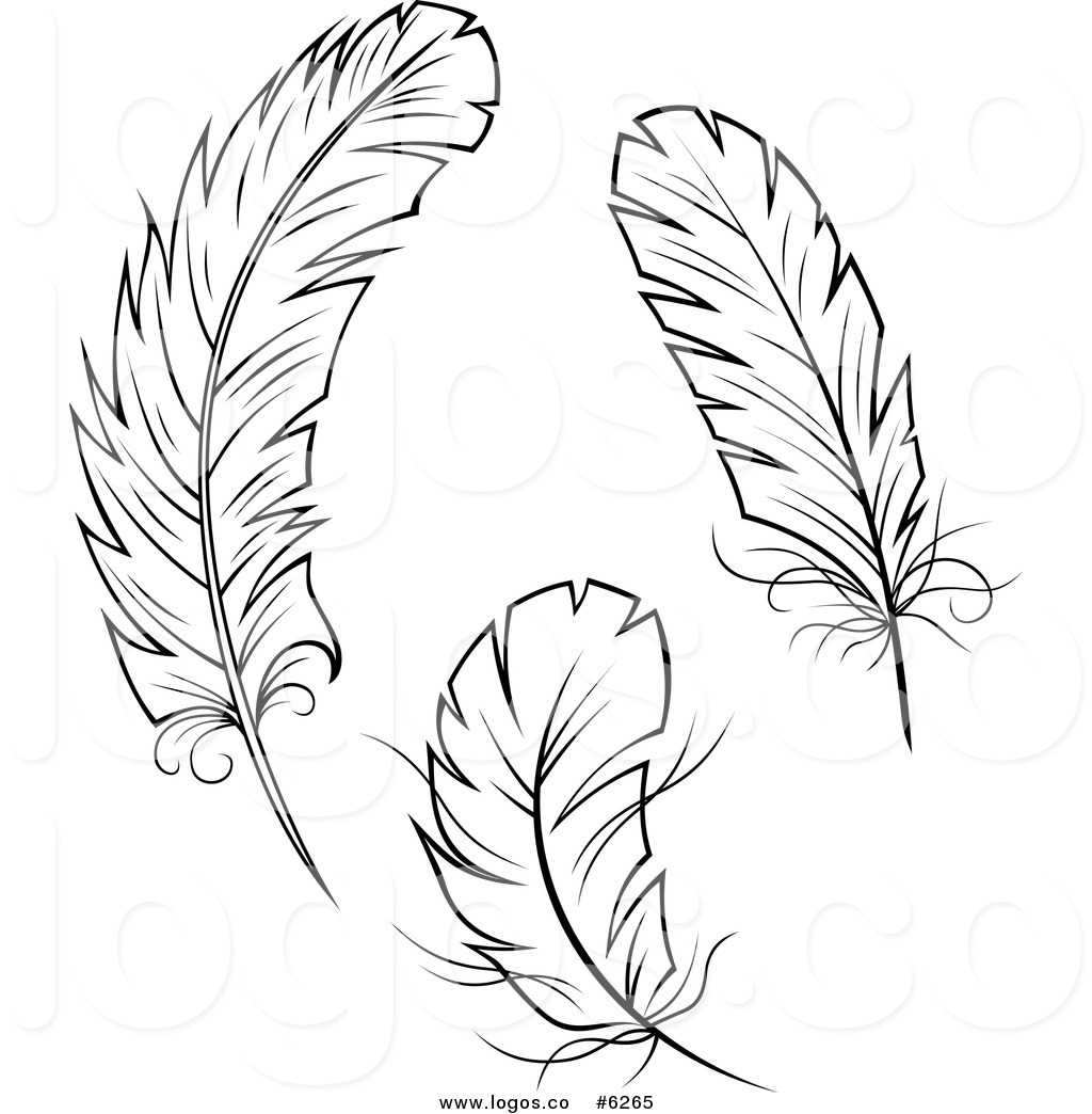 free feather clip art graphics - photo #2