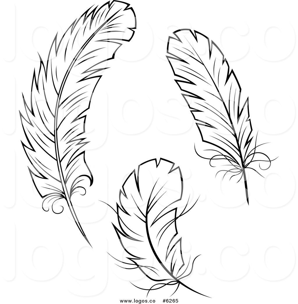 free clip art eagle feather - photo #9