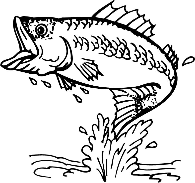 clipart line drawing fish - photo #43