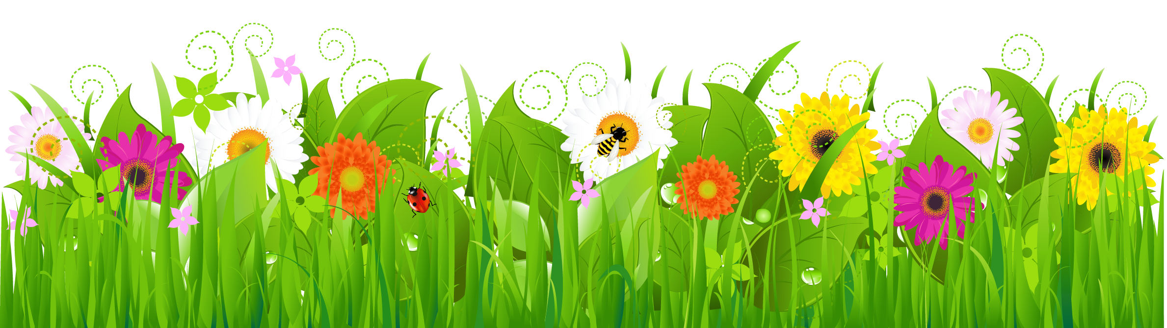 free spring clipart lines - photo #18